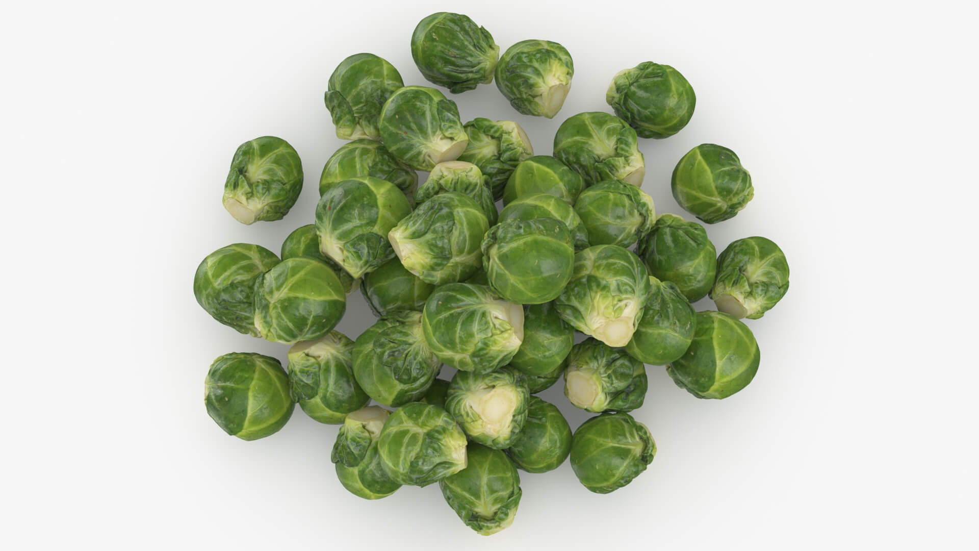 Brussels Sprouts 3D Model