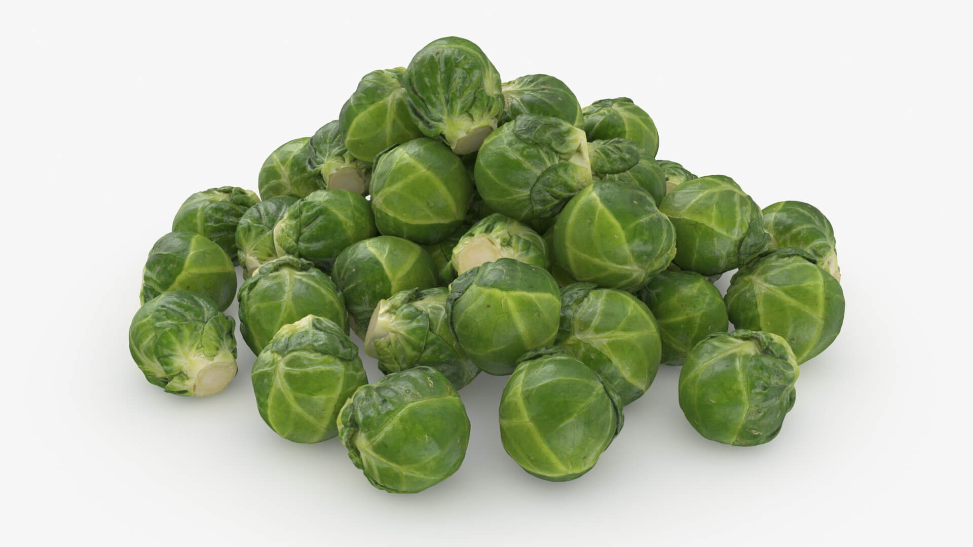 Brussels Sprouts 3D Model