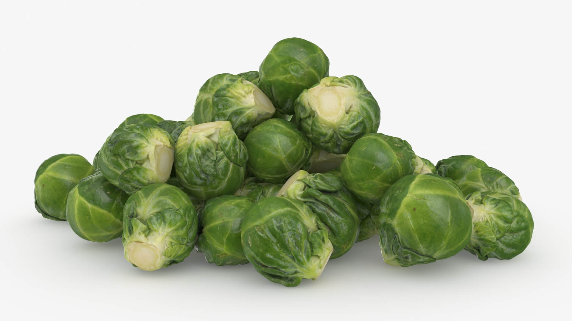 Brussels Sprouts 3D Model