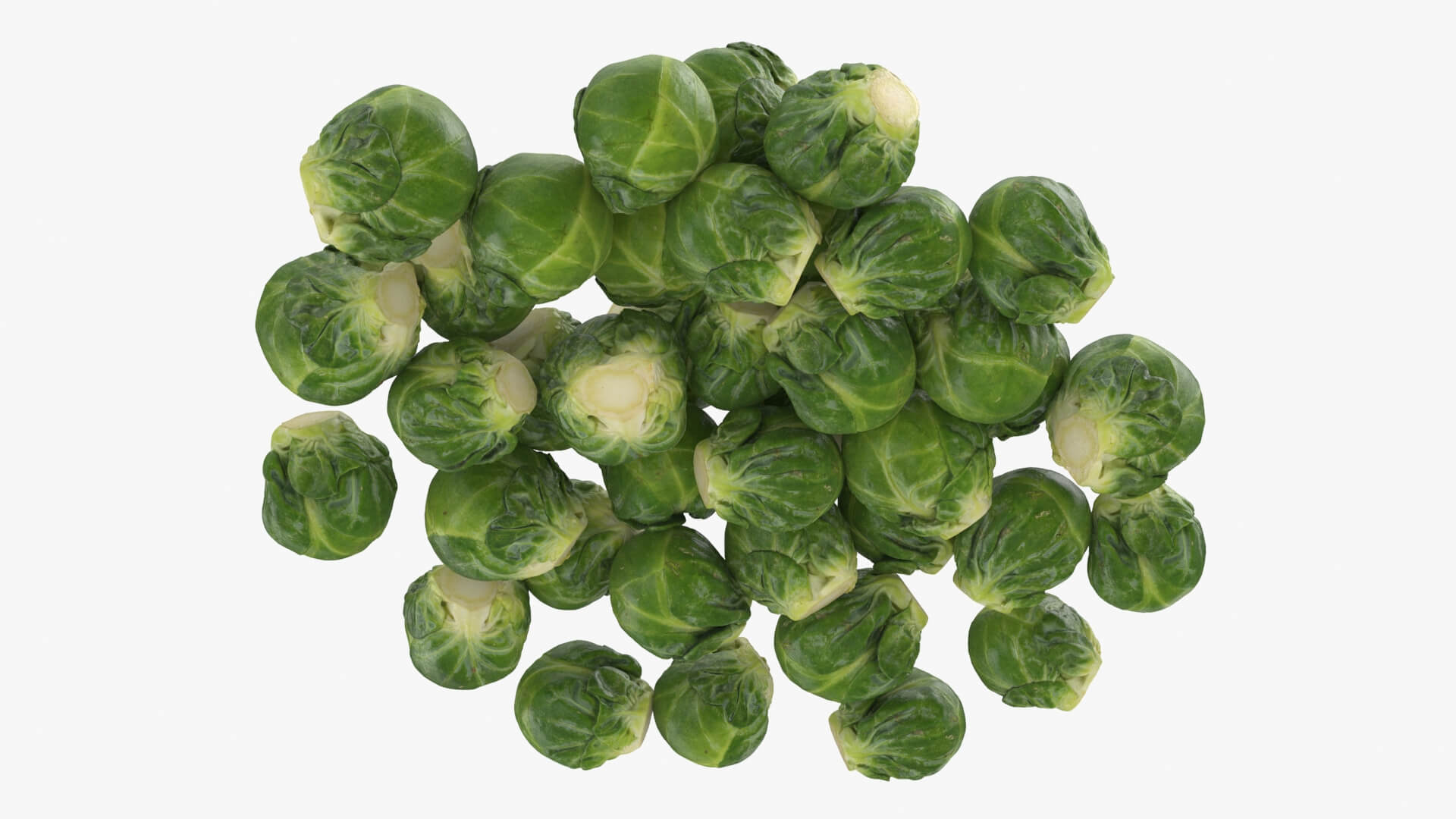 Brussels Sprouts 3D Model