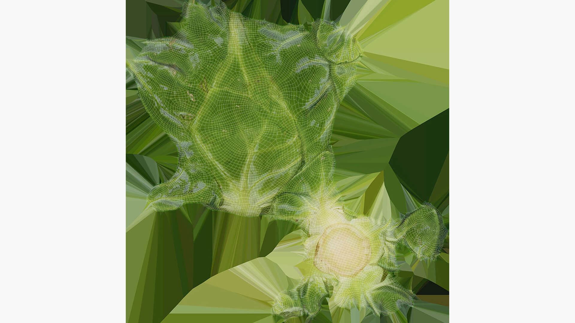 Brussels Sprouts 3D Model
