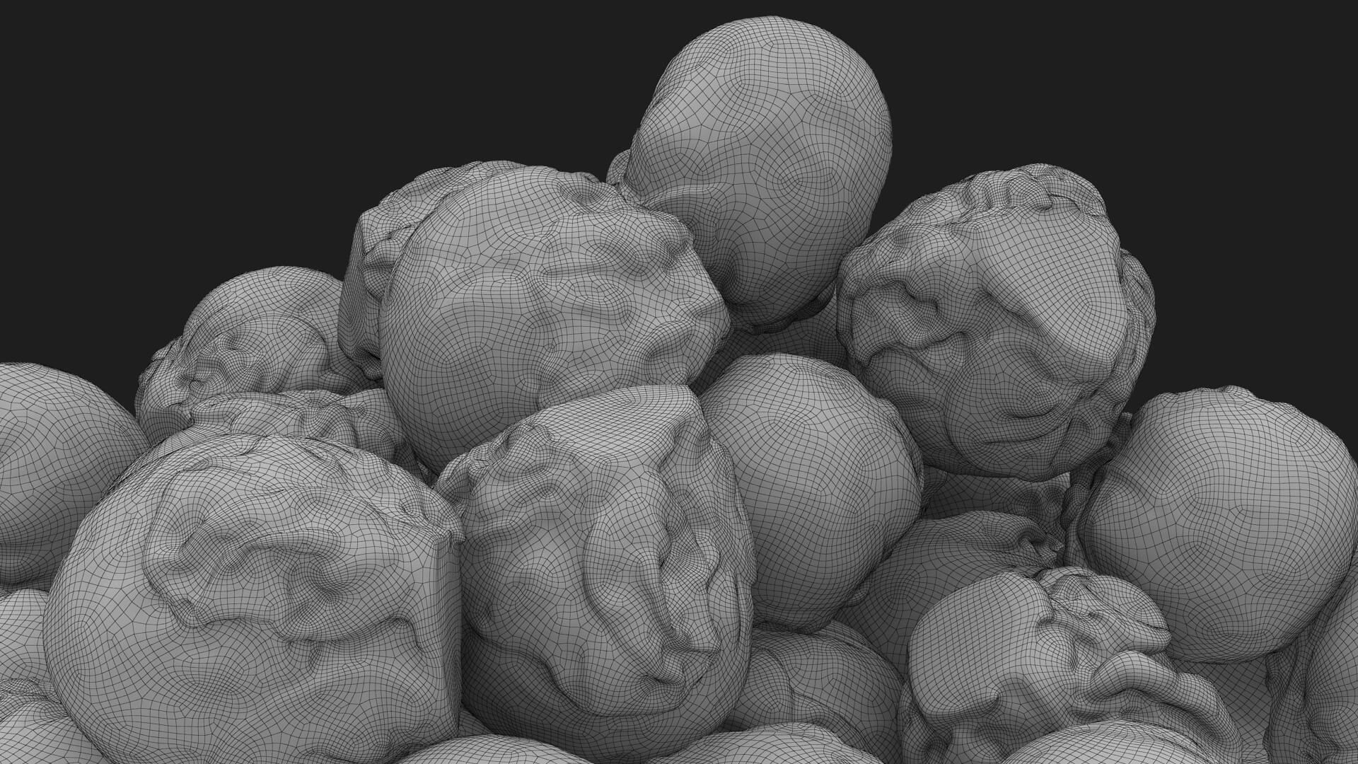 Brussels Sprouts 3D Model