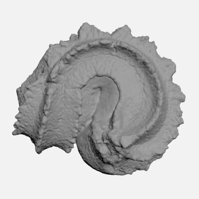 Butter Cookie Vanilla Ring - For 3D Print
