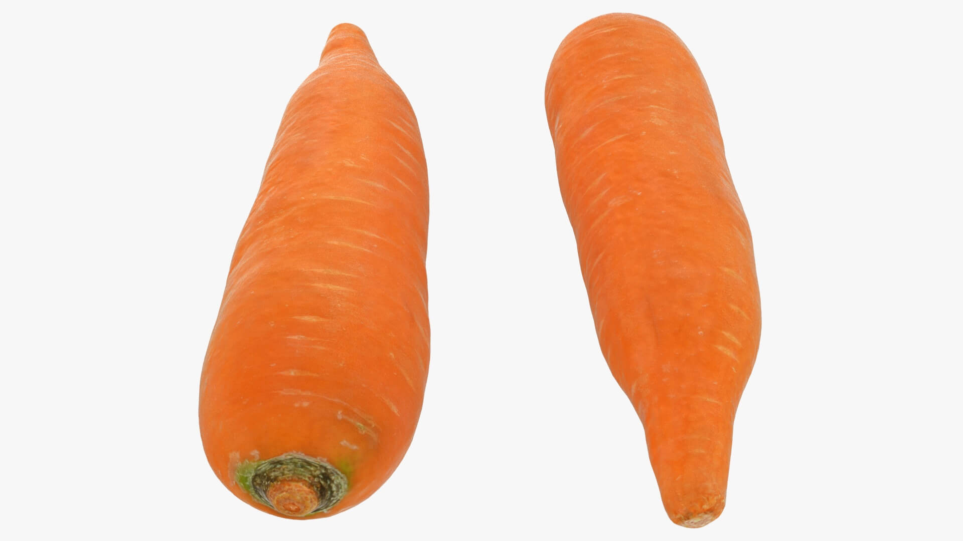 Realistic Carrot 01 3D Model