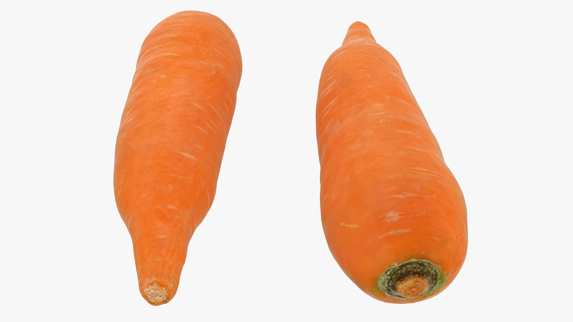 Realistic Carrot 01 3D Model