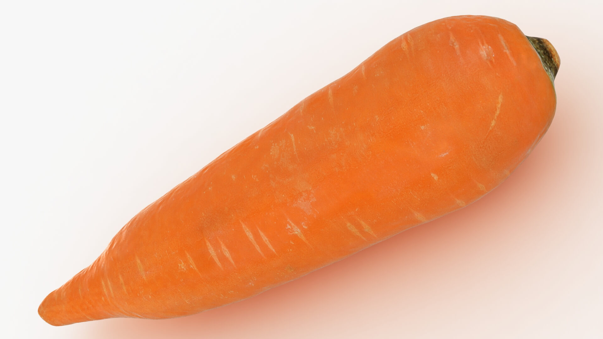 Realistic Carrot 01 3D Model