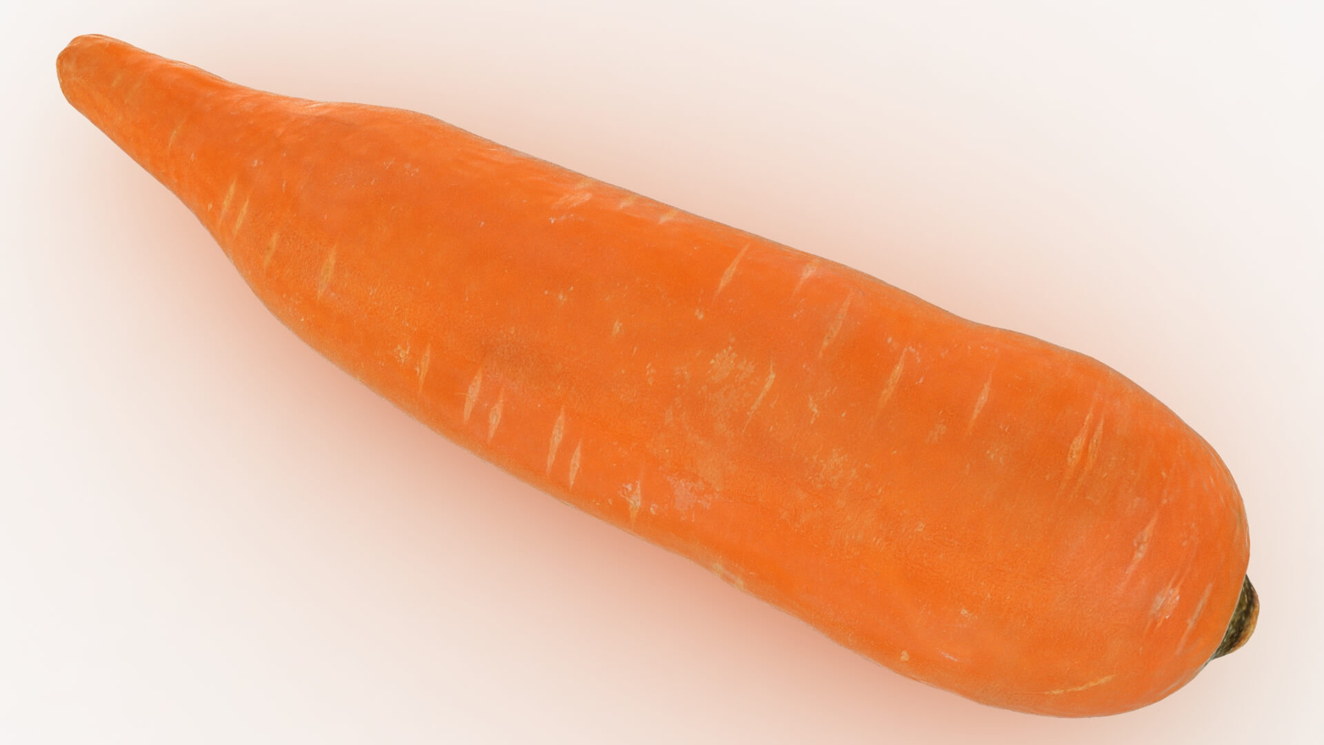 Realistic Carrot 01 3D Model