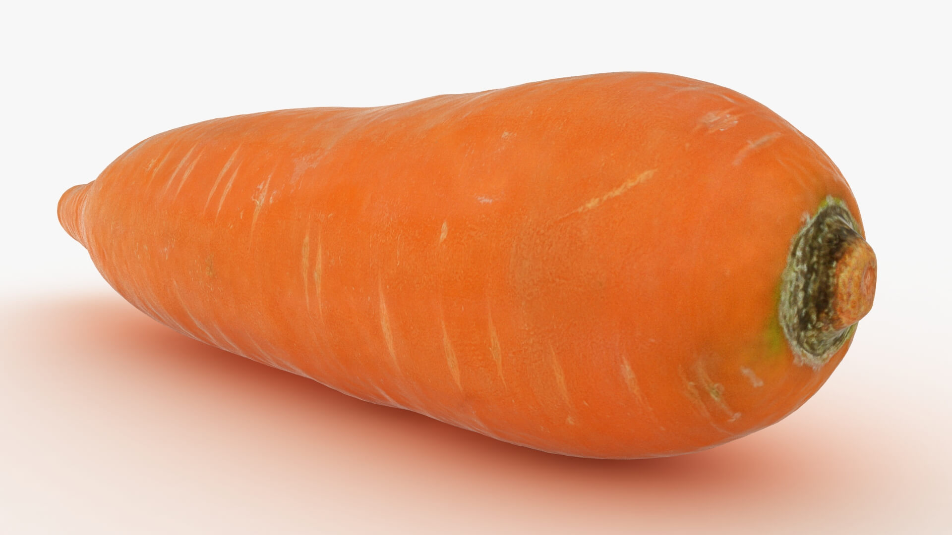 Realistic Carrot 01 3D Model