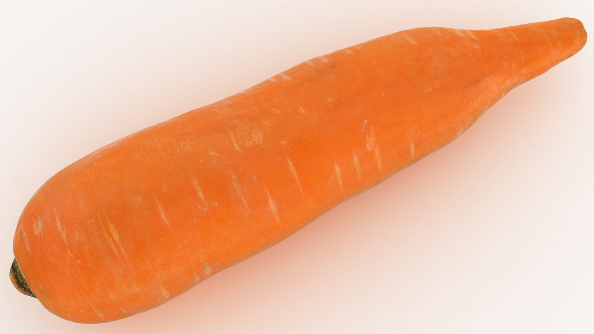 Realistic Carrot 01 3D Model