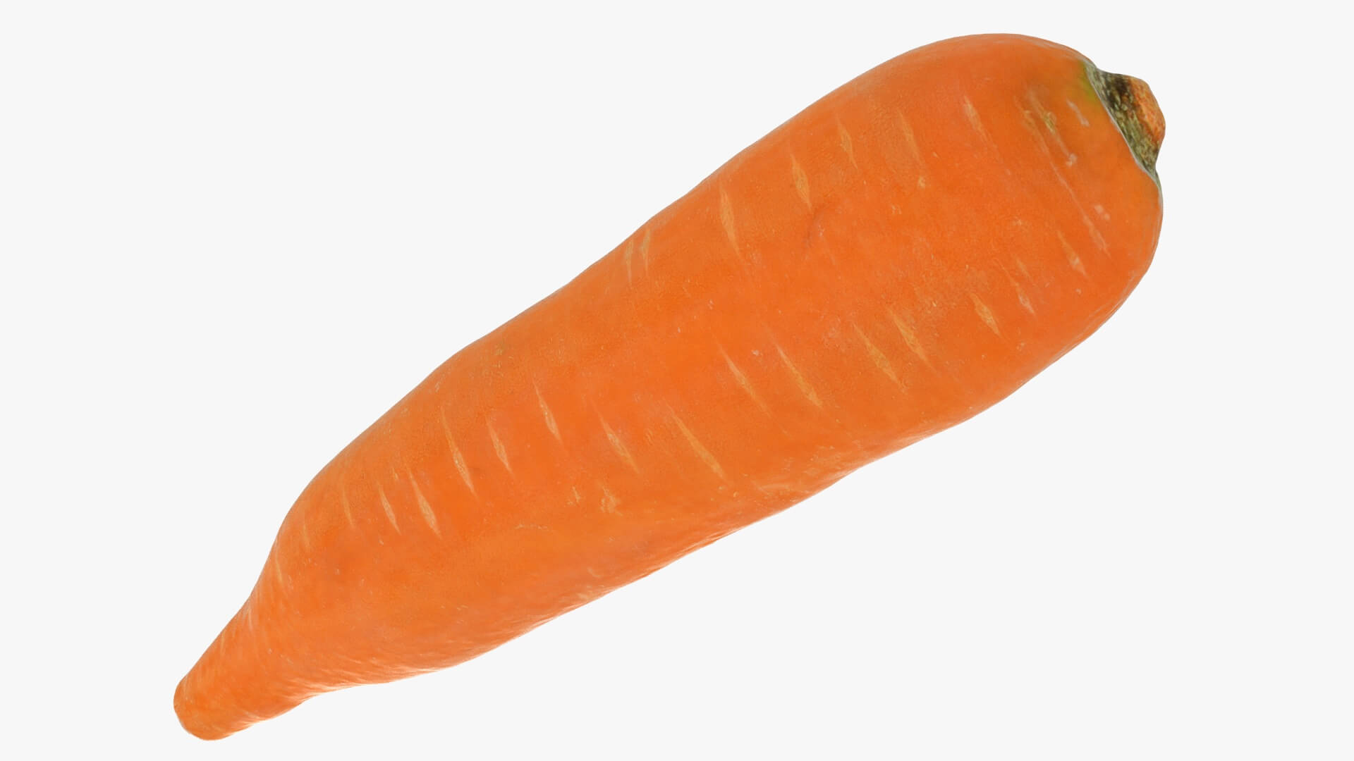Realistic Carrot 01 3D Model