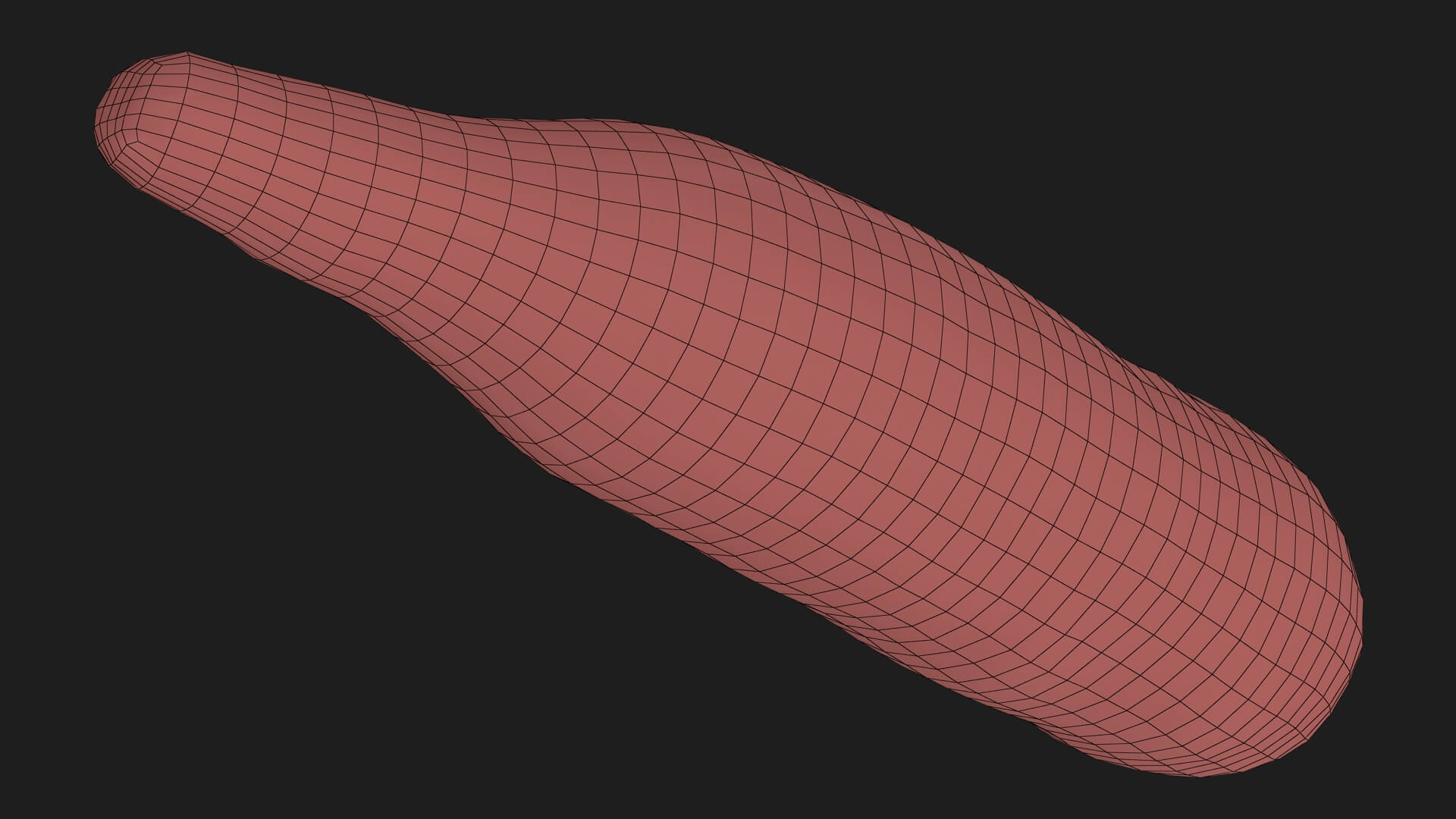 Realistic Carrot 01 3D Model