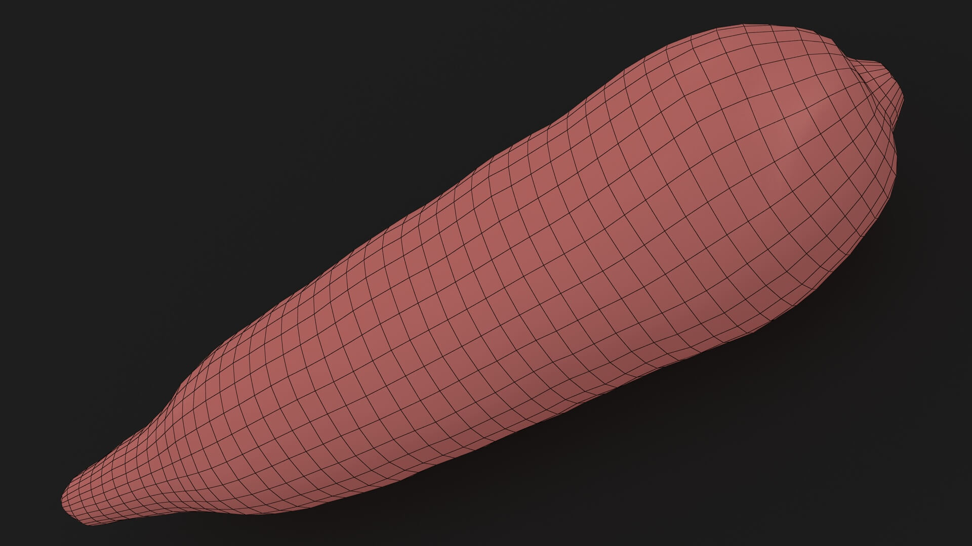 Realistic Carrot 01 3D Model