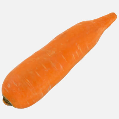 Realistic Carrot 01