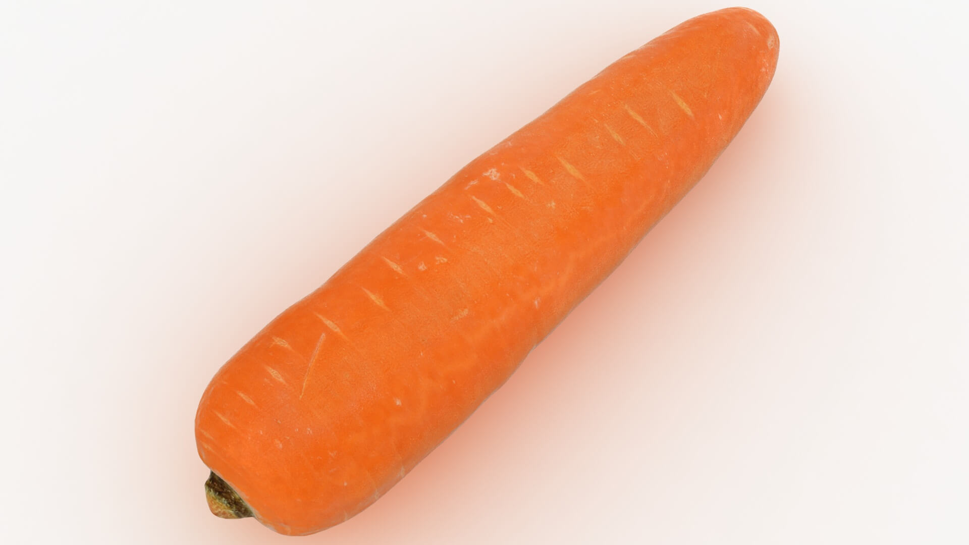 Realistic Carrot 02 3D Model