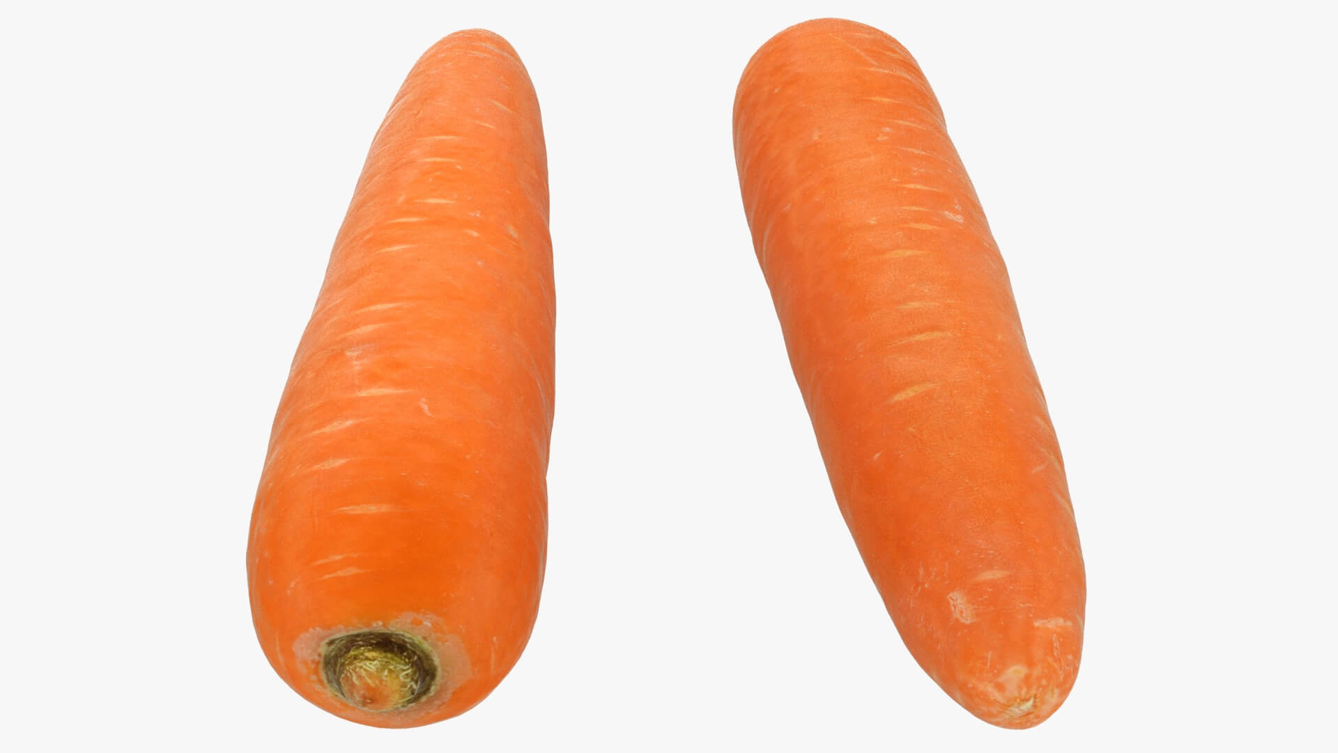 Realistic Carrot 02 3D Model