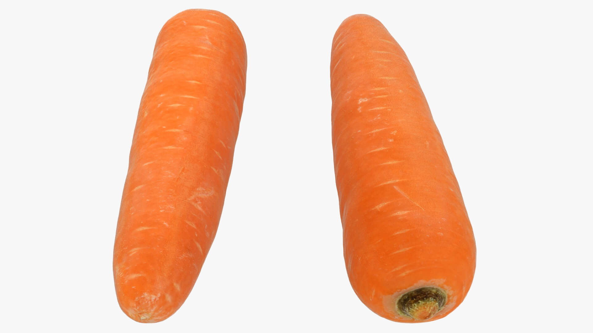 Realistic Carrot 02 3D Model
