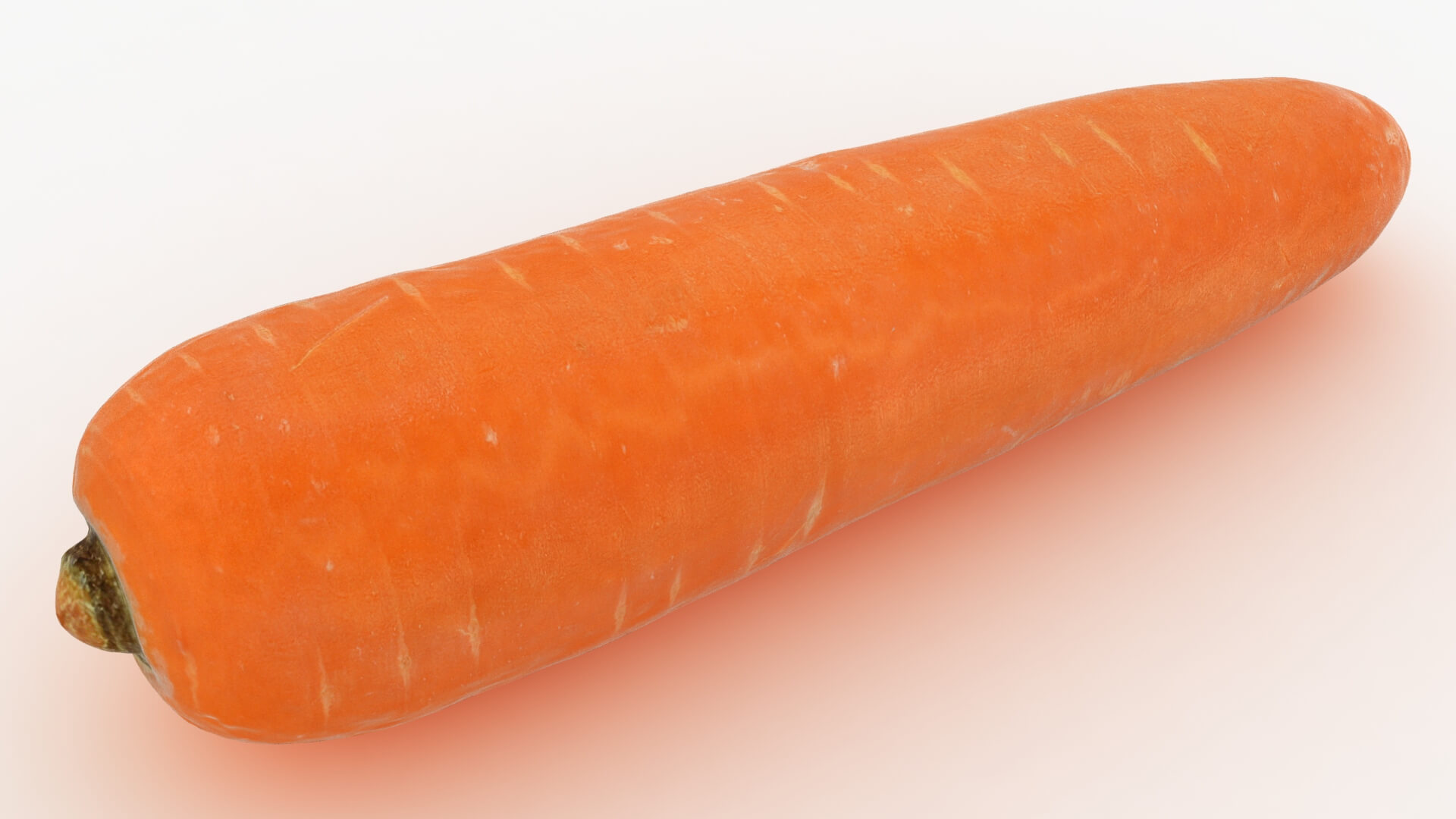 Realistic Carrot 02 3D Model