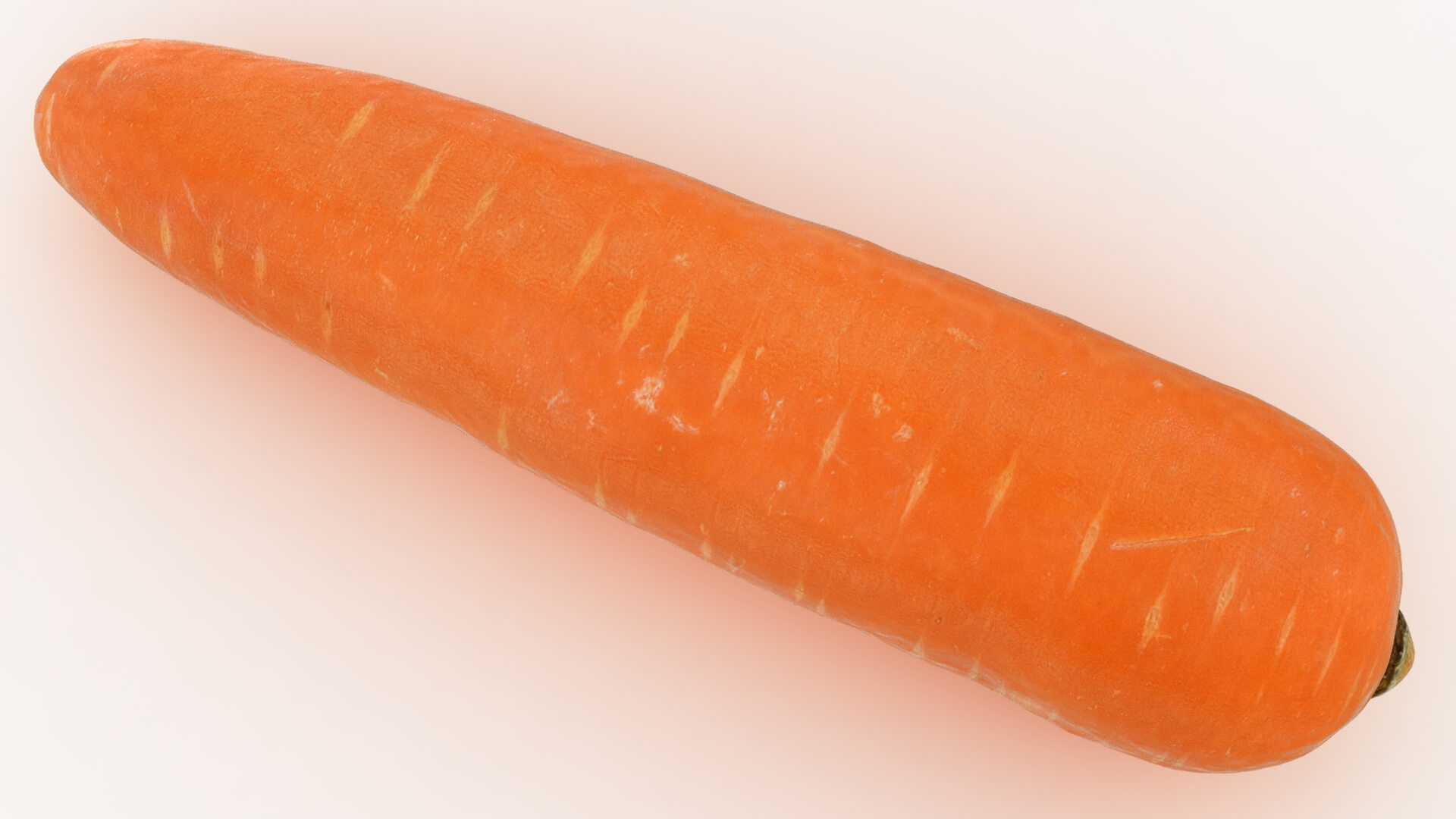 Realistic Carrot 02 3D Model