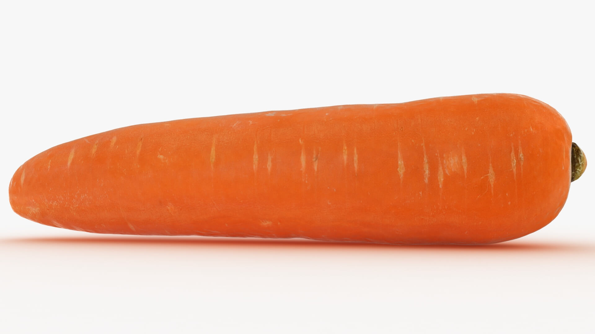 Realistic Carrot 02 3D Model