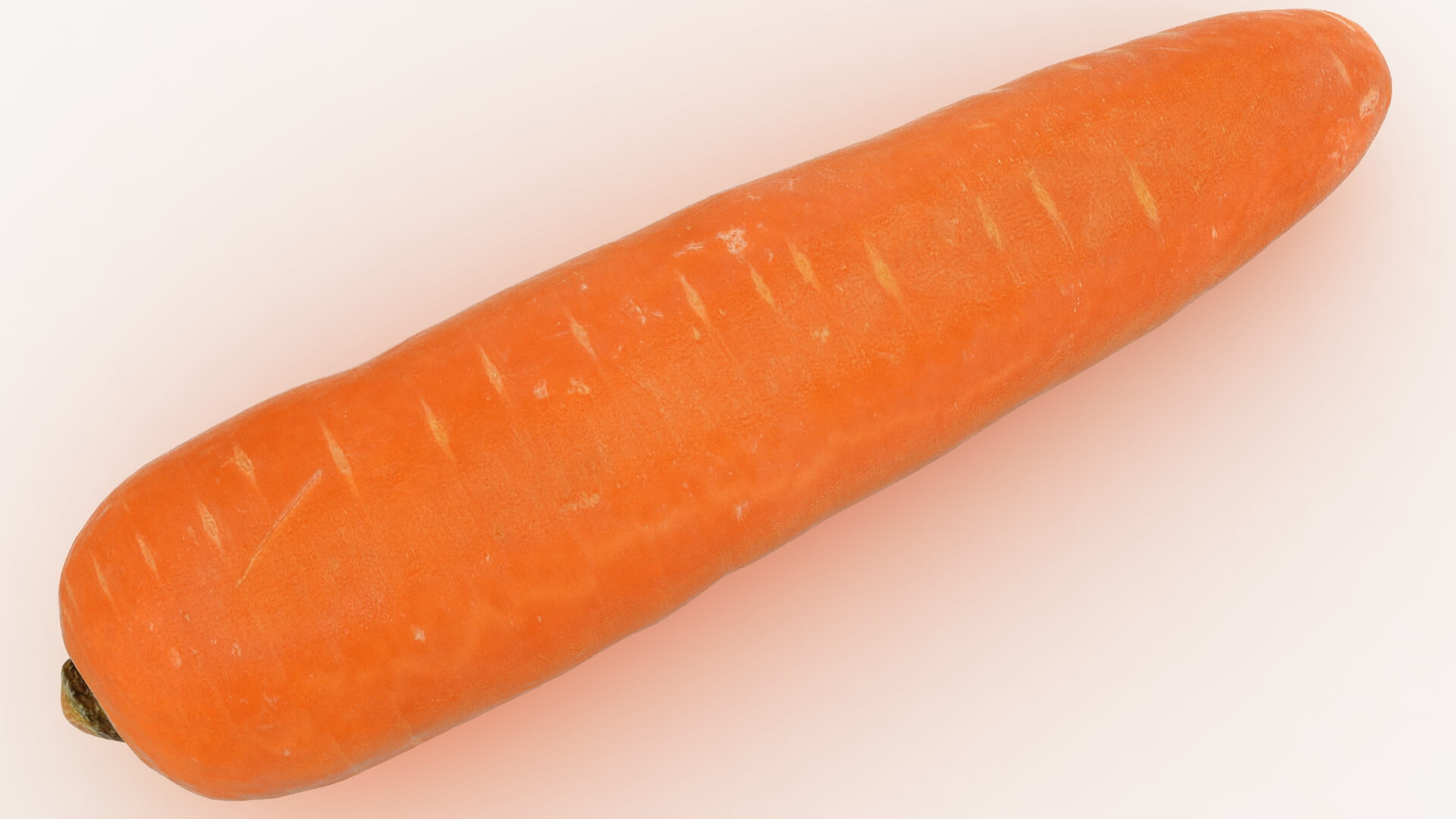 Realistic Carrot 02 3D Model