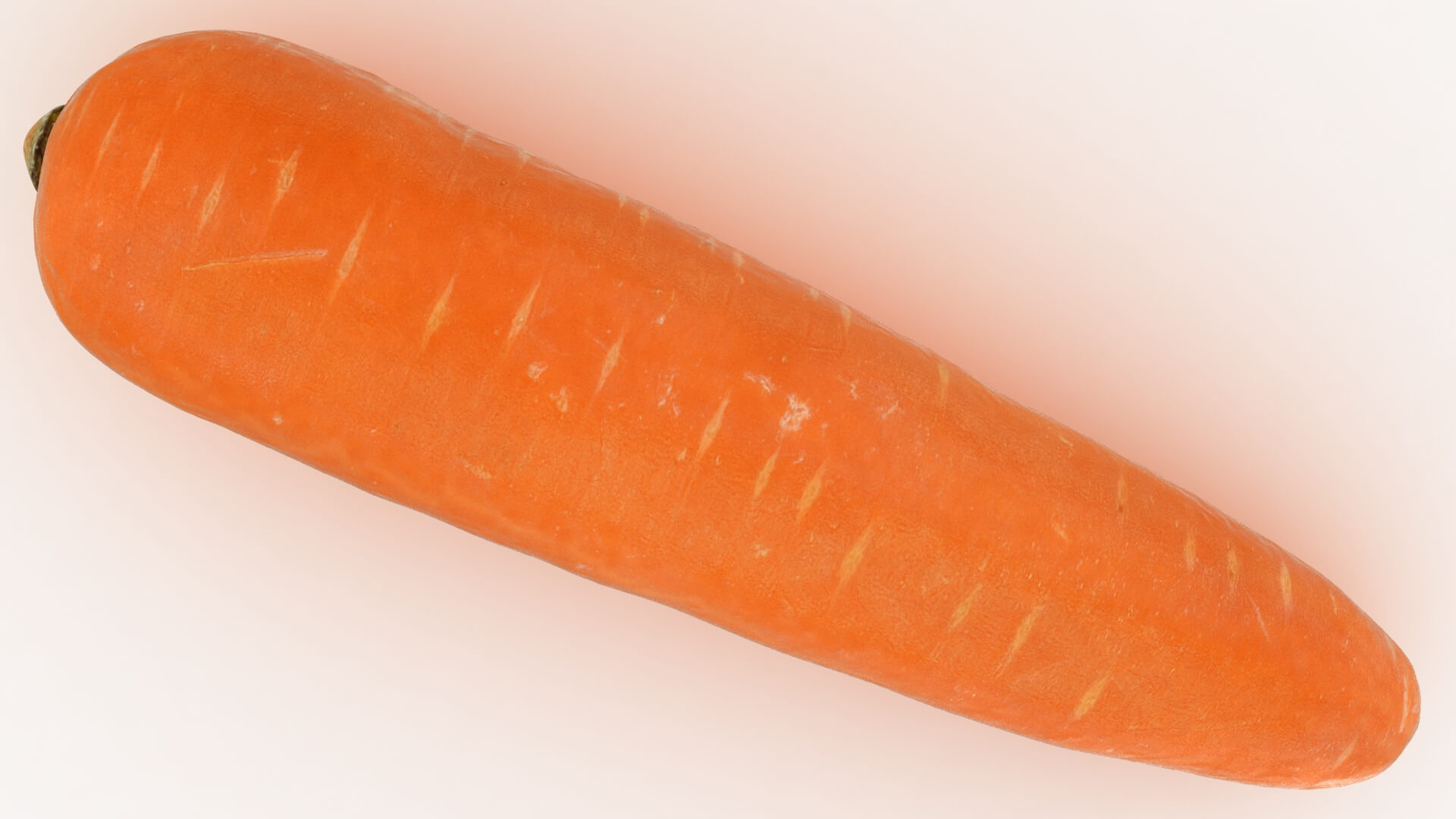 Realistic Carrot 02 3D Model