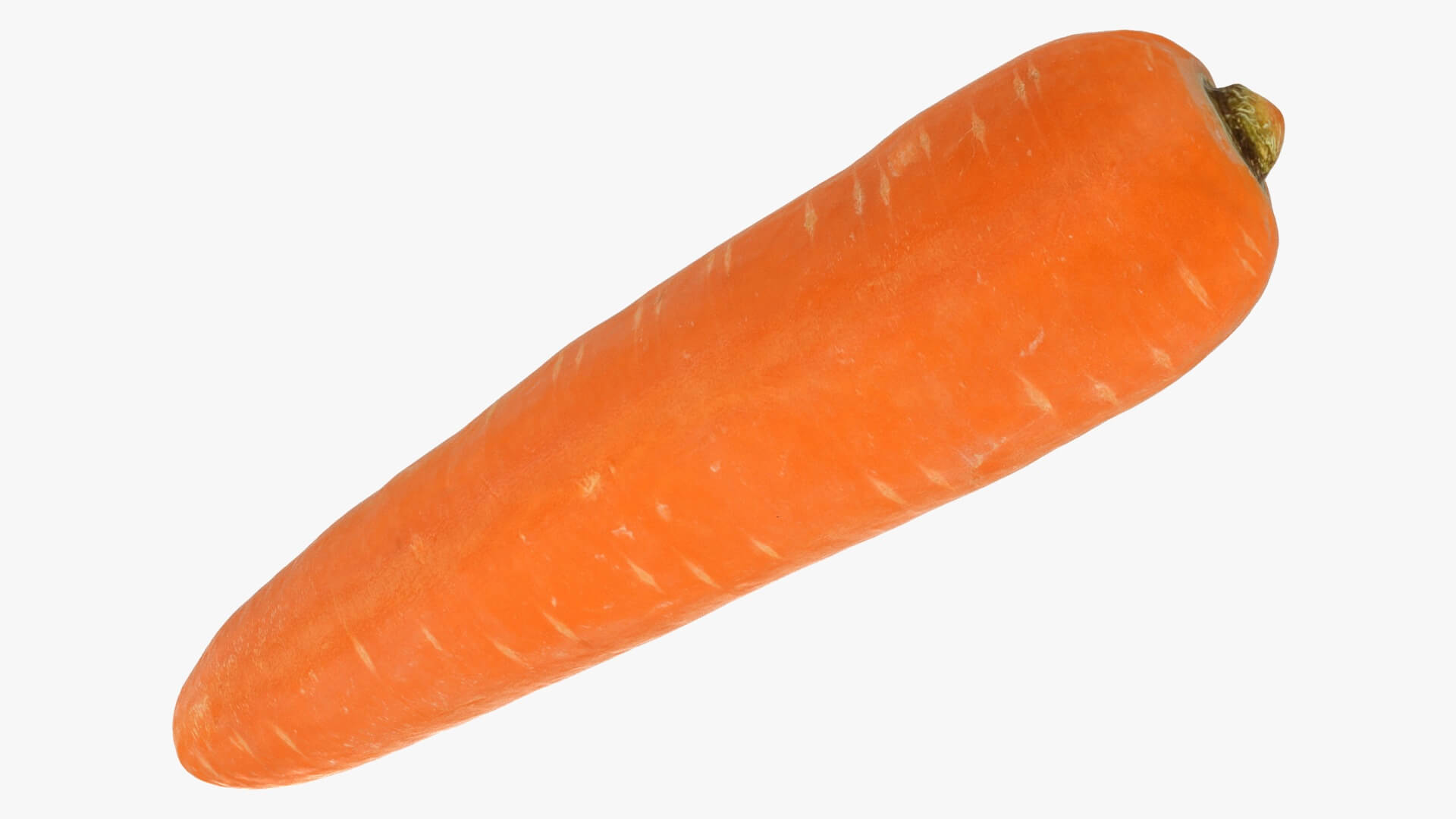 Realistic Carrot 02 3D Model