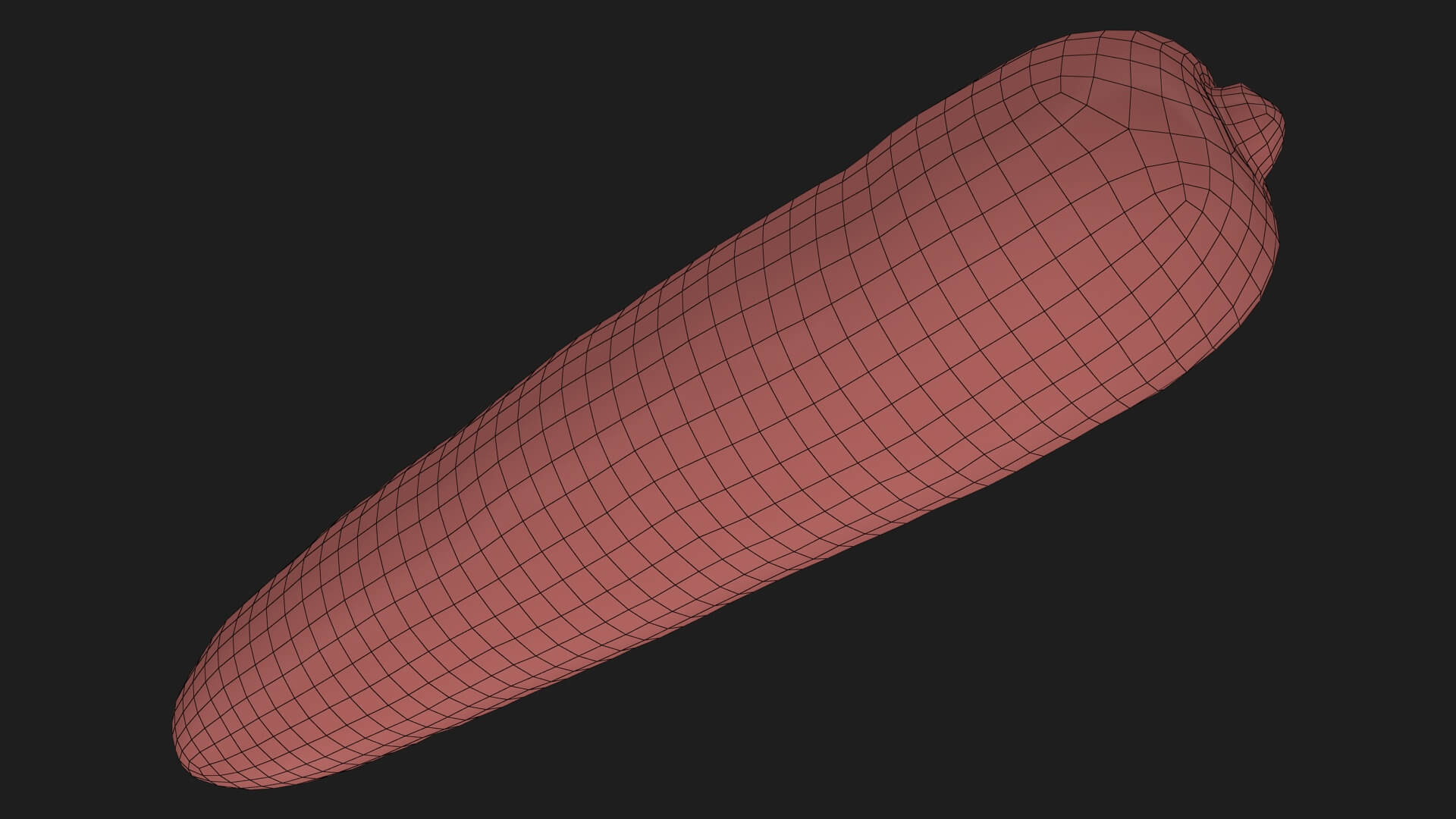 Realistic Carrot 02 3D Model