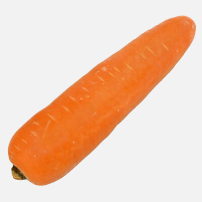 Realistic Carrot 02