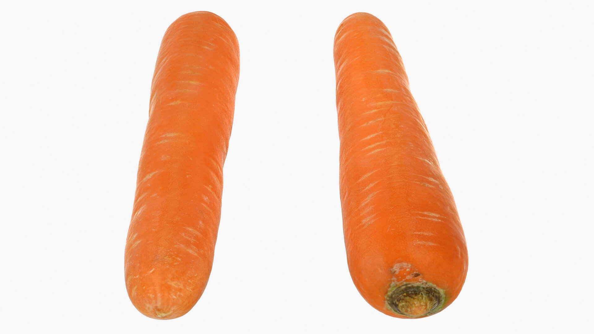 Realistic Carrot 03 3D Model