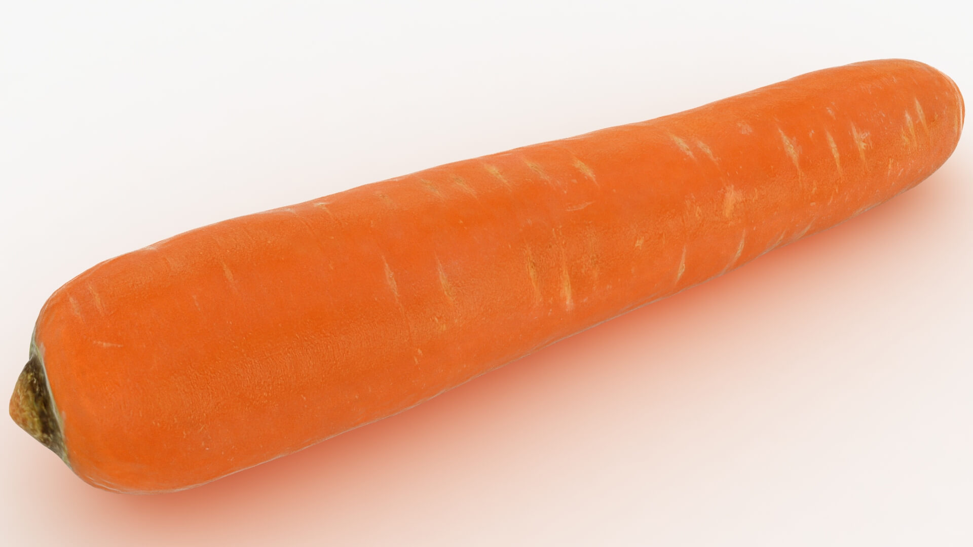 Realistic Carrot 03 3D Model