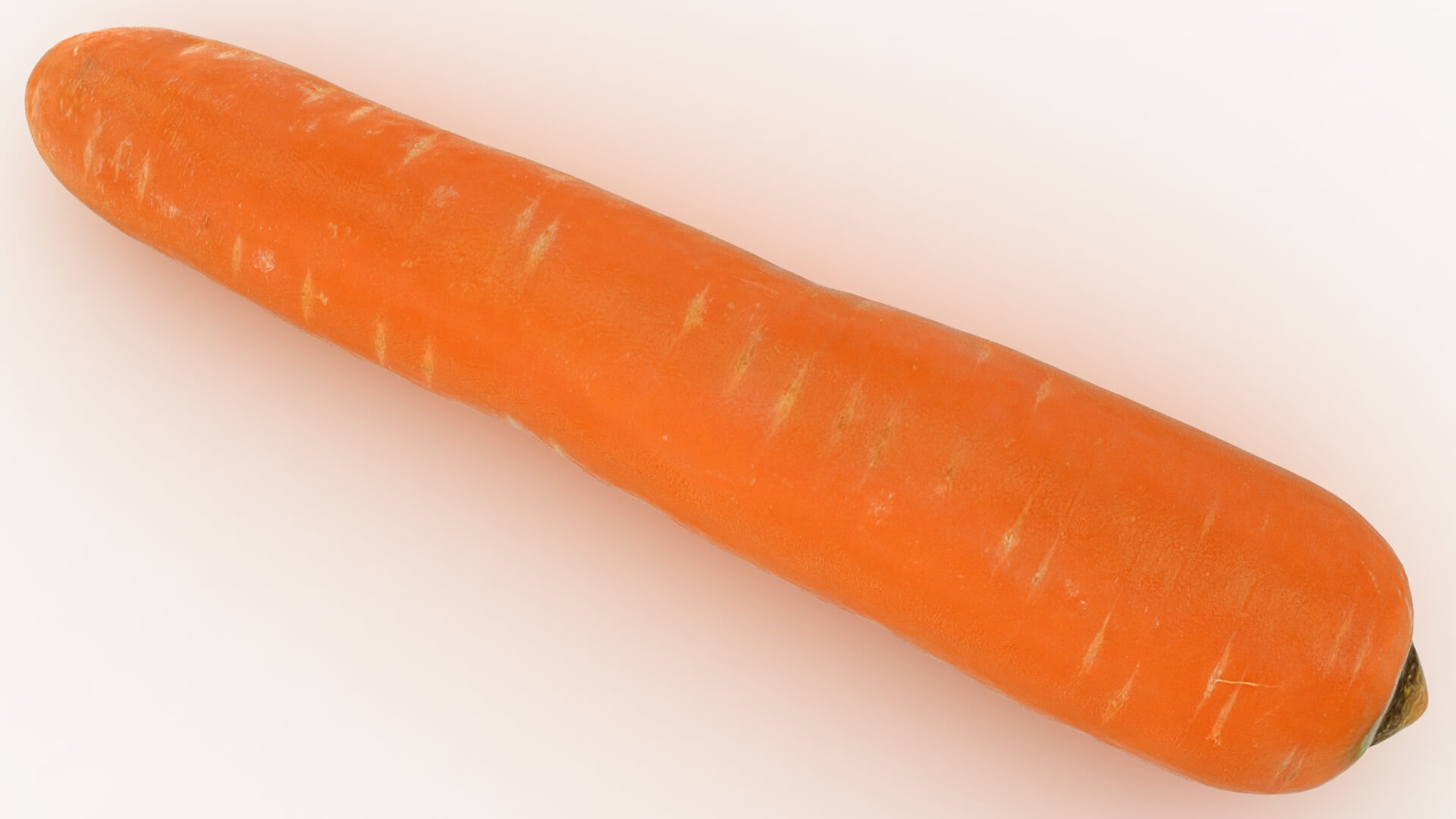 Realistic Carrot 03 3D Model
