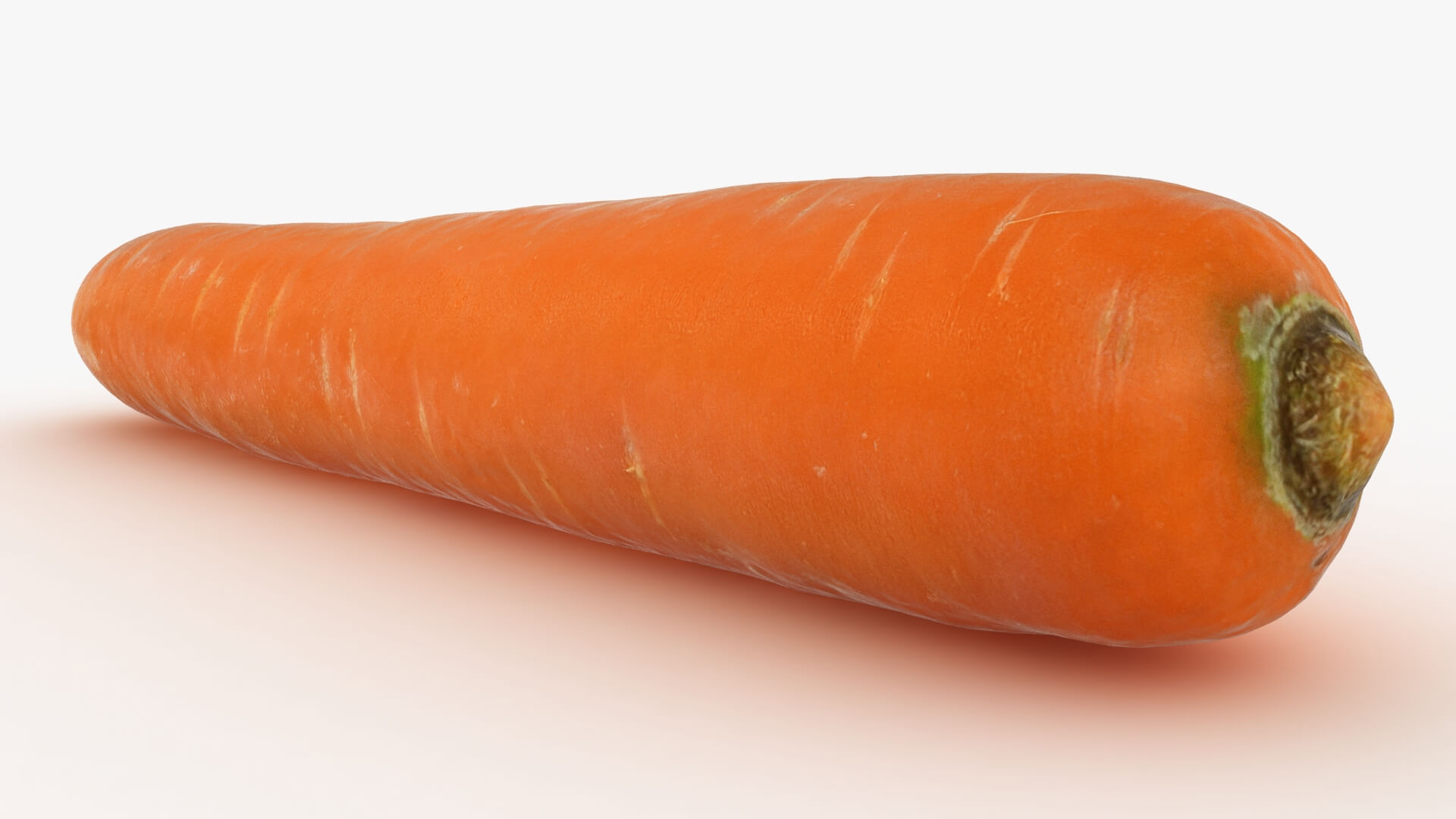 Realistic Carrot 03 3D Model