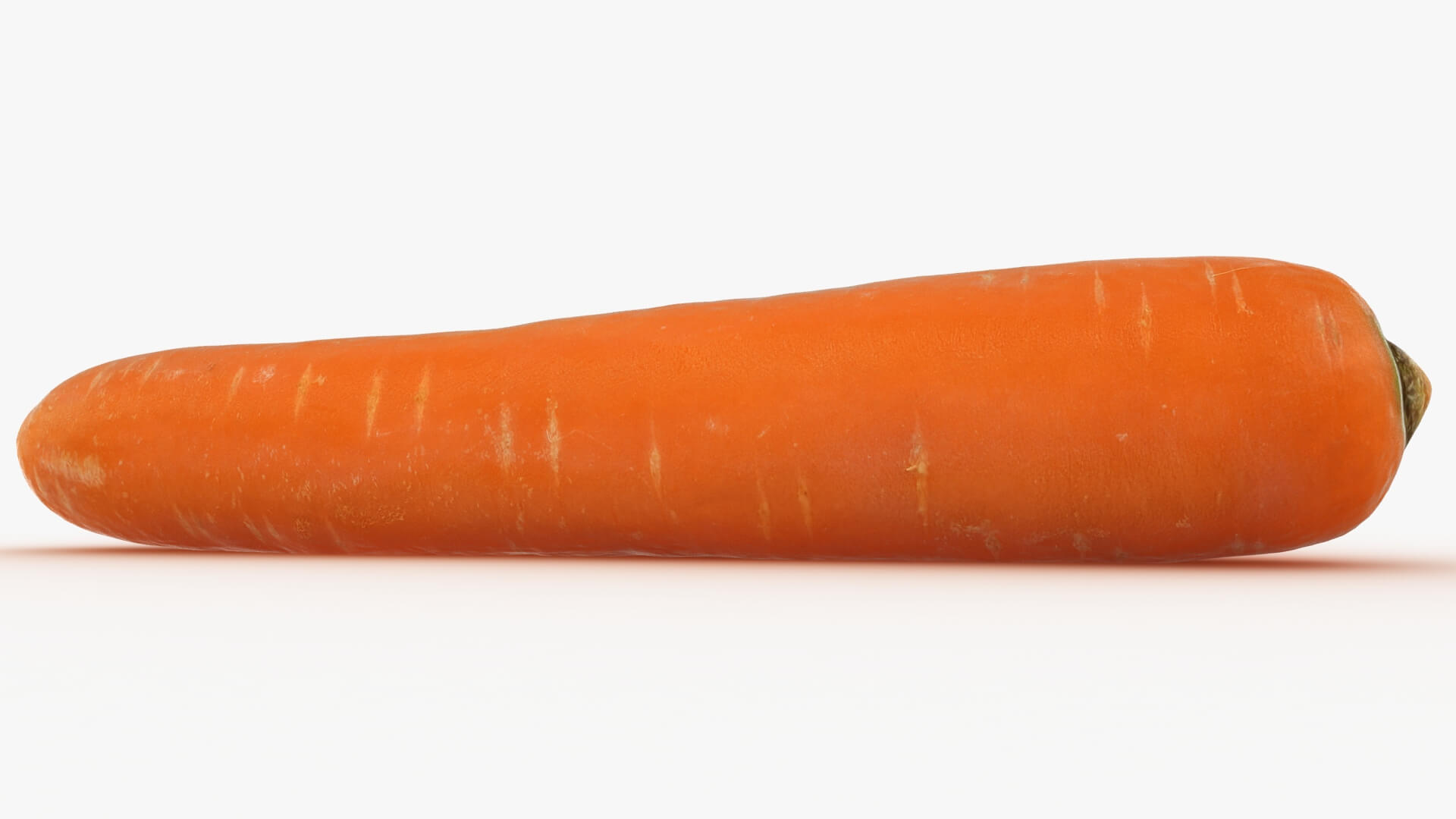 Realistic Carrot 03 3D Model