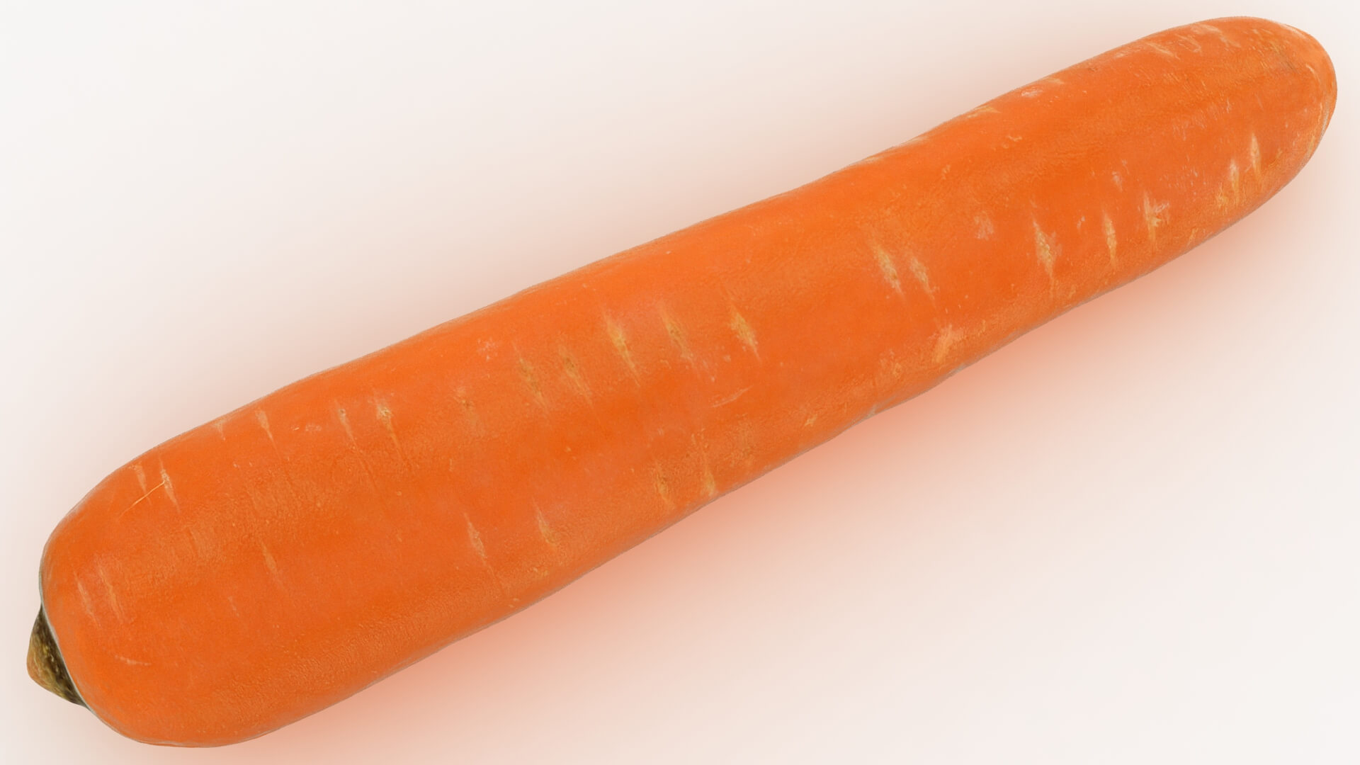 Realistic Carrot 03 3D Model
