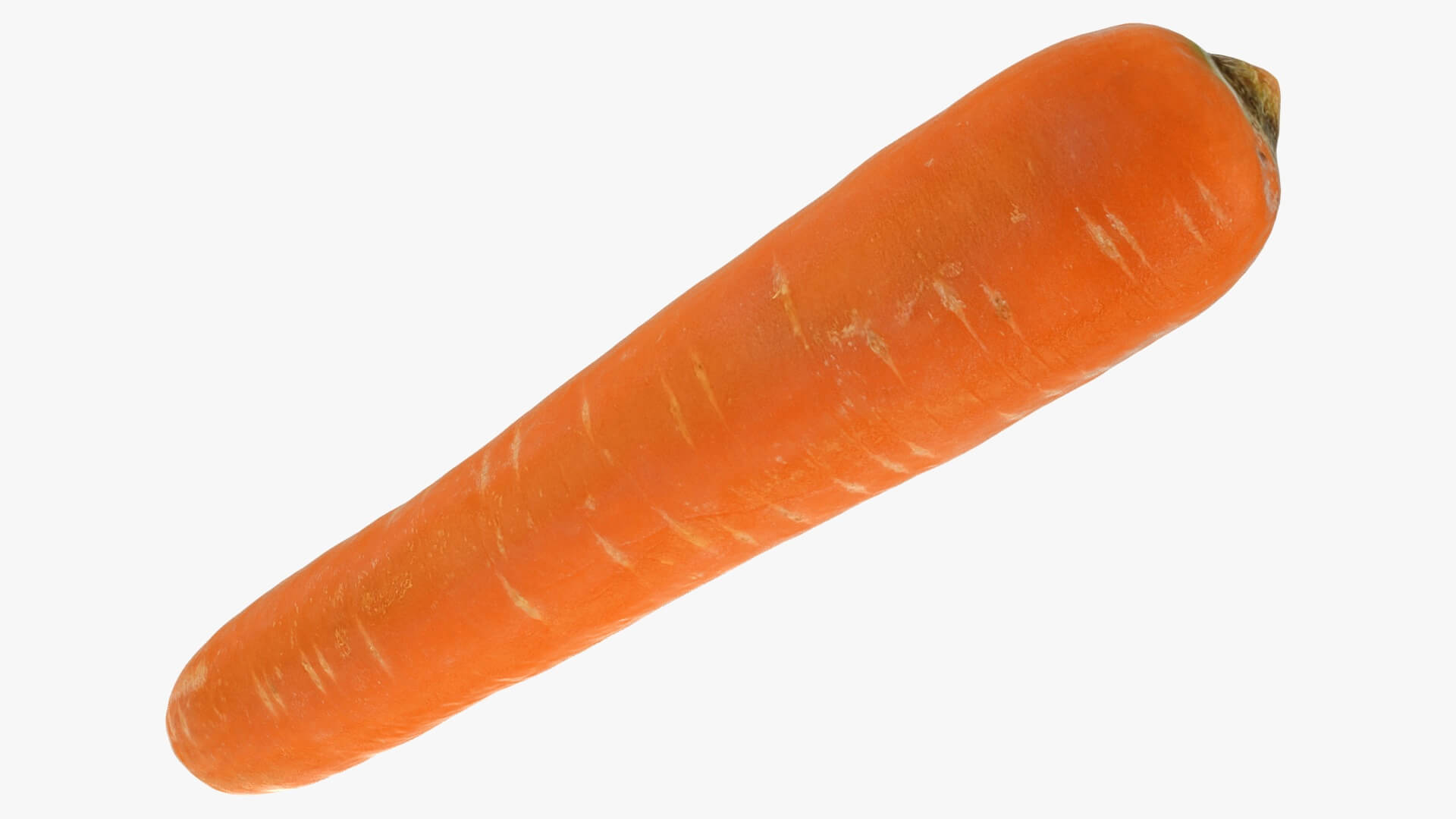 Realistic Carrot 03 3D Model