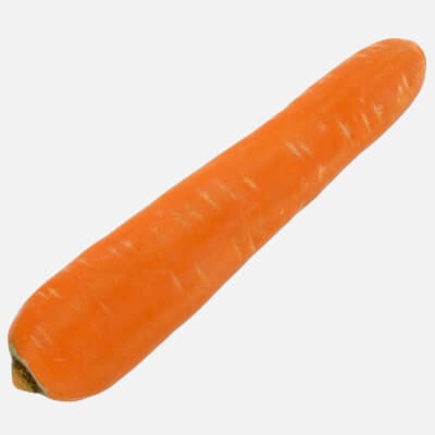 Realistic Carrot 03