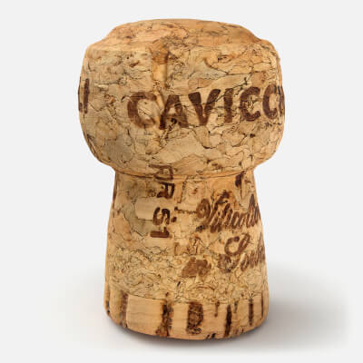Champagne Cork - 3D Scanned