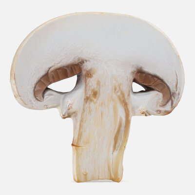 Champignon Mushroom Slice