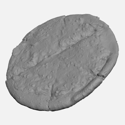 Cheese Pizza 02 - For 3D Print