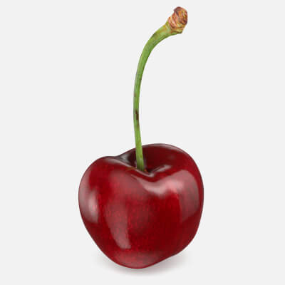 Realistic Cherry 01
