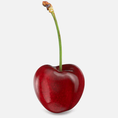 Realistic Cherry 04