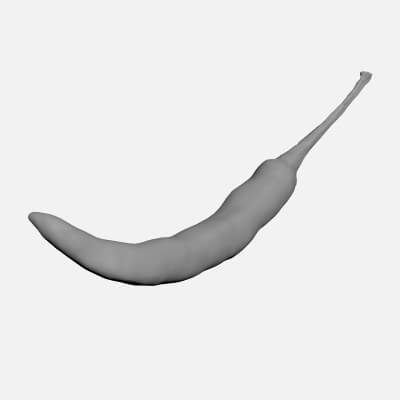 Chili Pepper 01 - For 3D Print