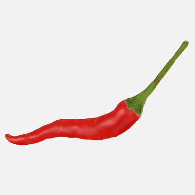 Chili Pepper 03