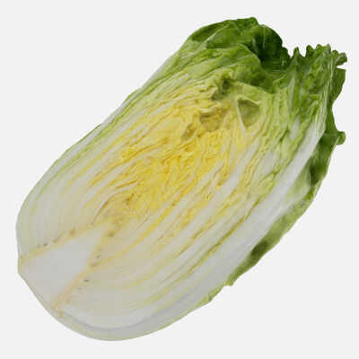 Chinese Cabbage Half