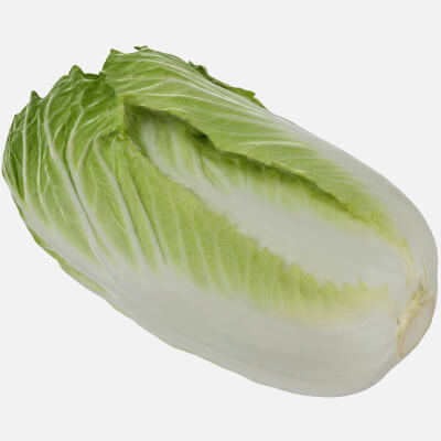 Chinese Cabbage