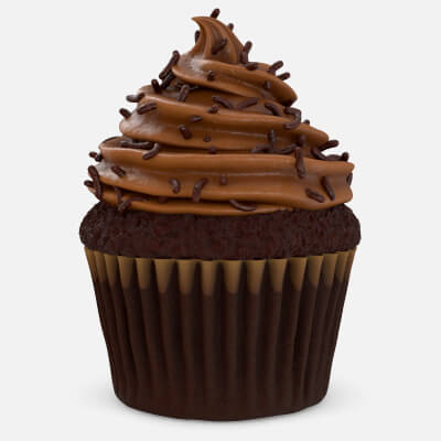 Chocolate Sprinkle Cupcake