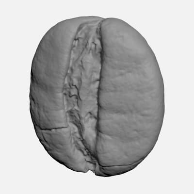 Coffee Bean 01 - For 3D Print
