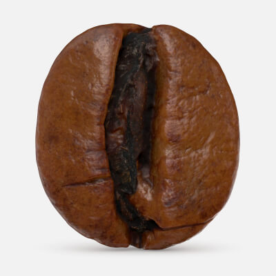 Coffee Bean 01