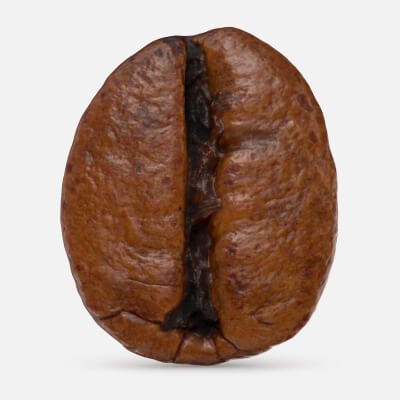 Coffee Bean 02