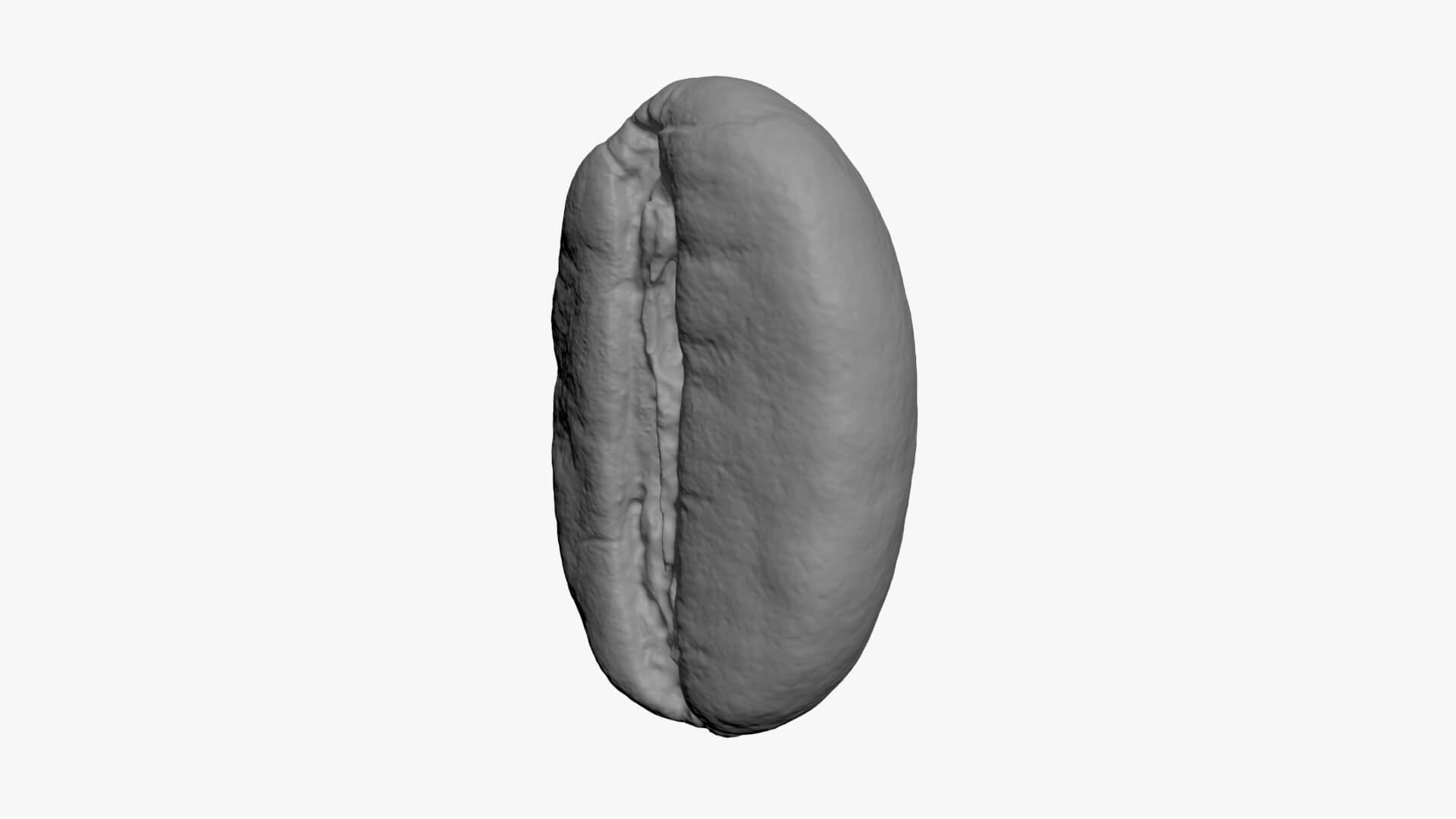 Coffee Bean 03 - For 3D Print 3D Model